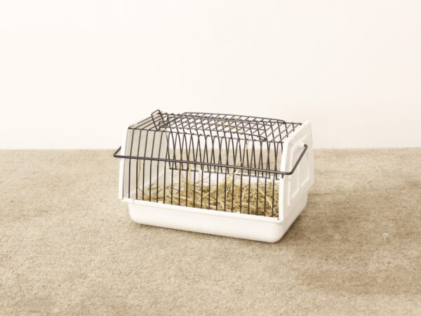 Boîte de Tran pour Hamster